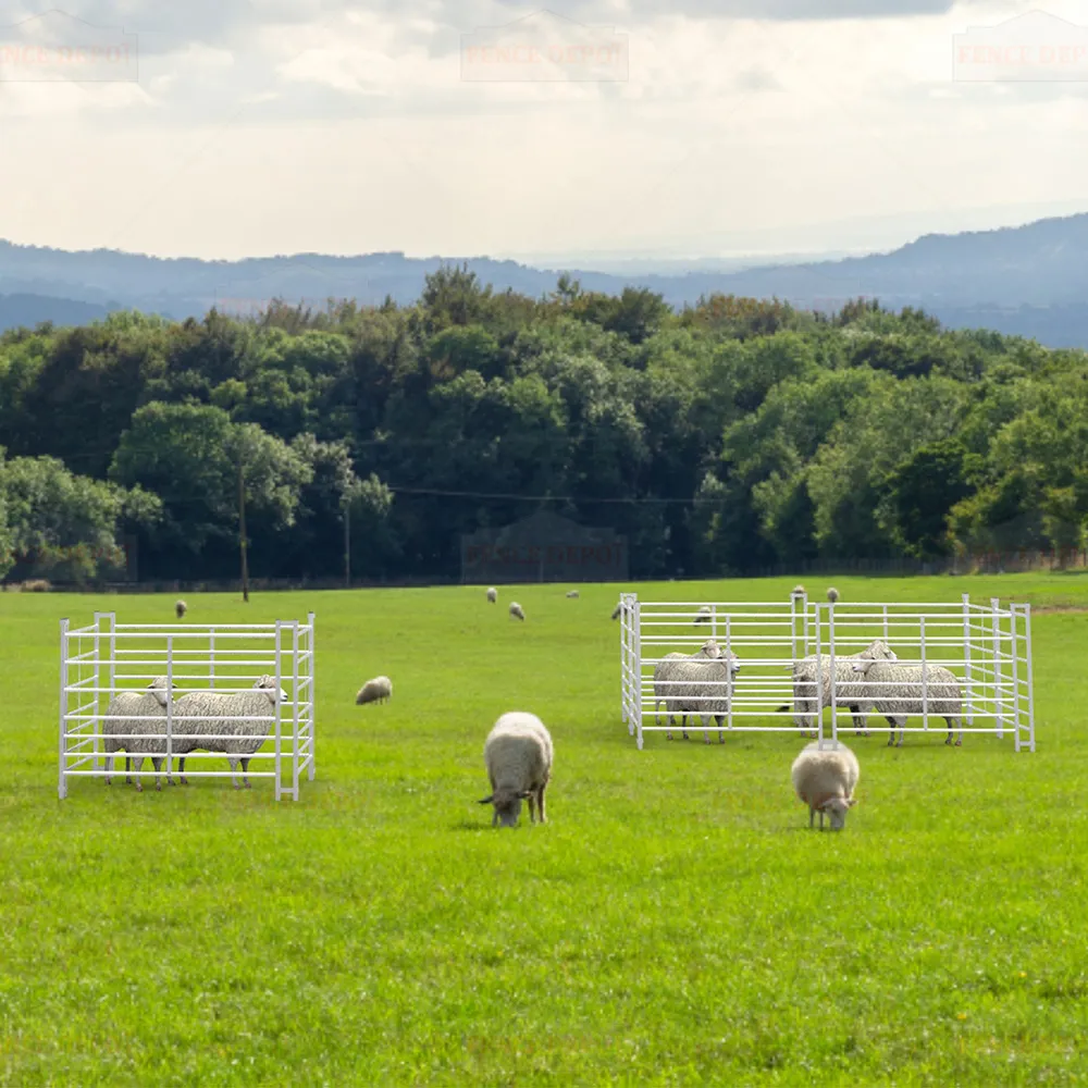 Read More About sheep hurdles for sale