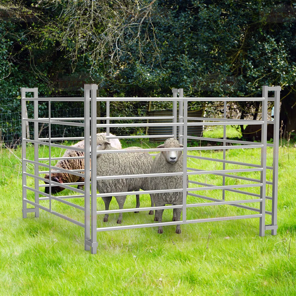 Read More About sheep hurdle