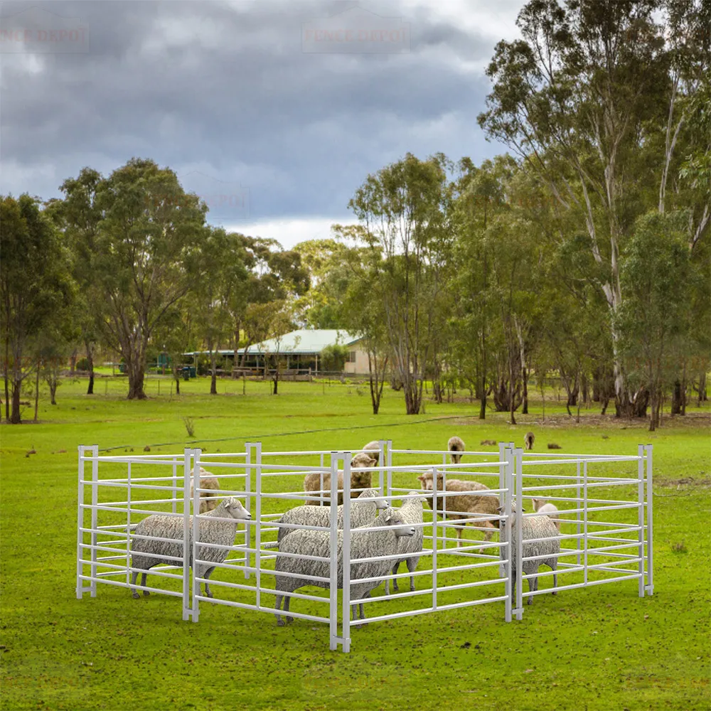 Read More About sheep hurdles for sale