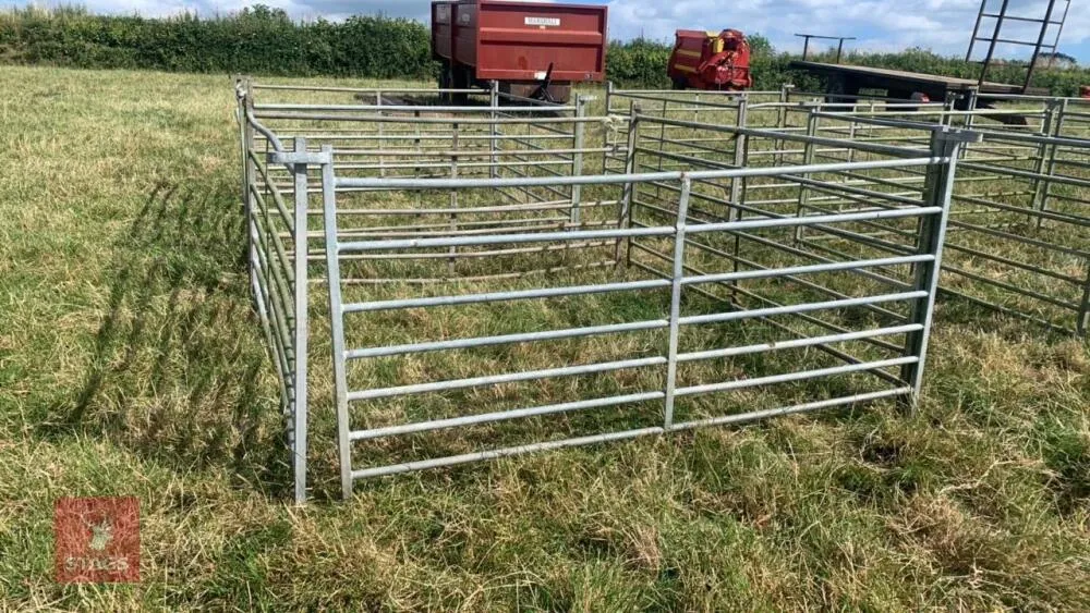 Read More About galvanised sheep hurdles