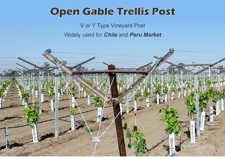 Read More About open gable trellis