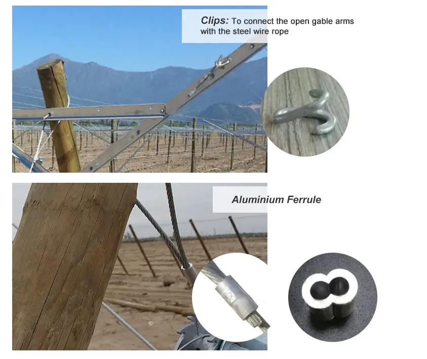 Read More About gable trellis system