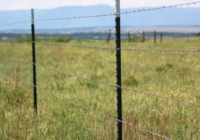 Read More About steel t posts for sale