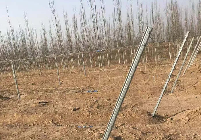 Read More About steel vineyard posts