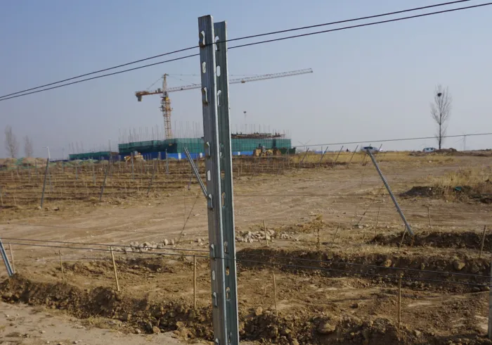 Read More About galvanised steel vineyard posts