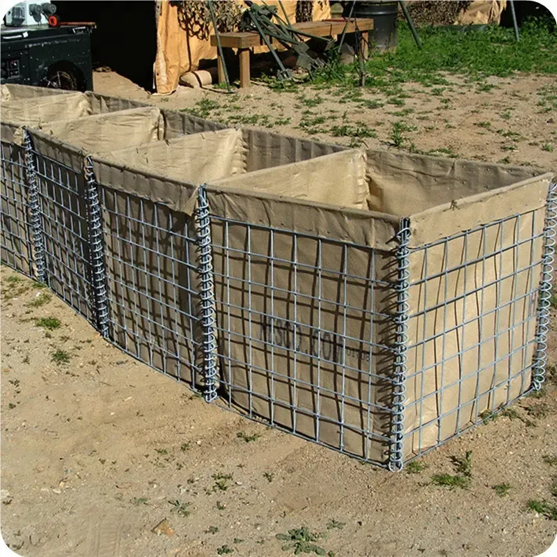 Read More About defensive barrier