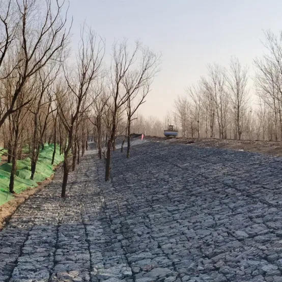 Read More About reno gabion mattresses bulk
