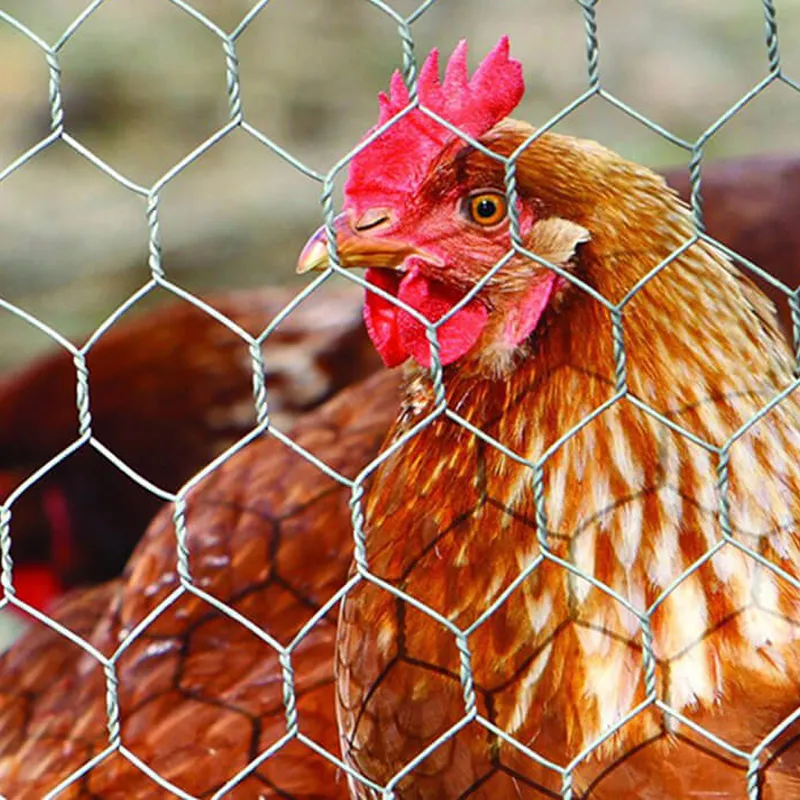 Read More About hexagonal metal mesh