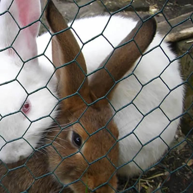 Read More About wholesale hexagonal wire mesh