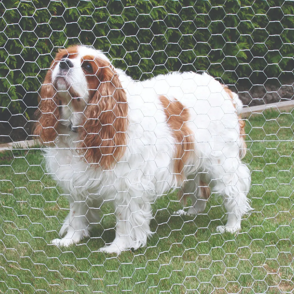 Read More About hexagonal wire mesh
