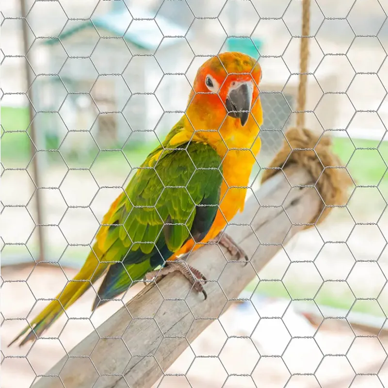 Read More About wholesale hexagonal wire mesh