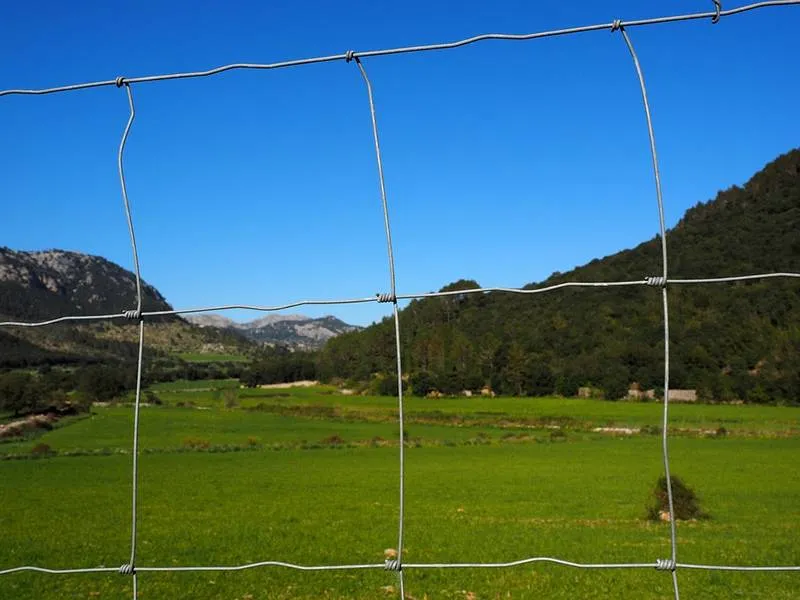 Read More About field fencing for sale