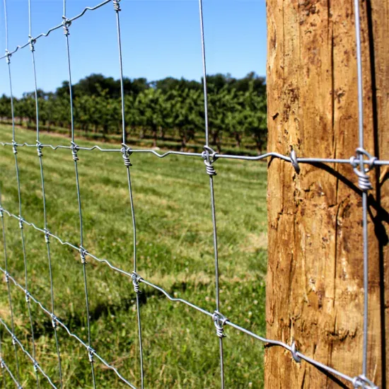 Read More About field fencing for sale