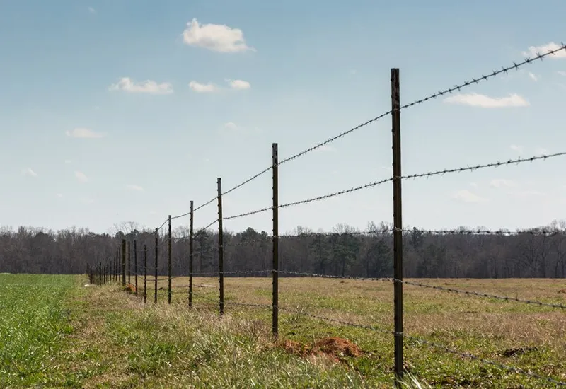 Read More About razor wire for sale