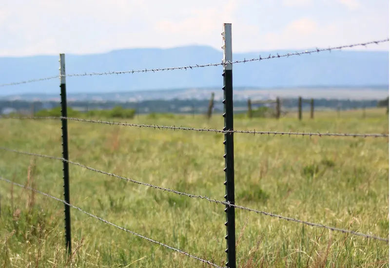 Read More About razor wire for sale