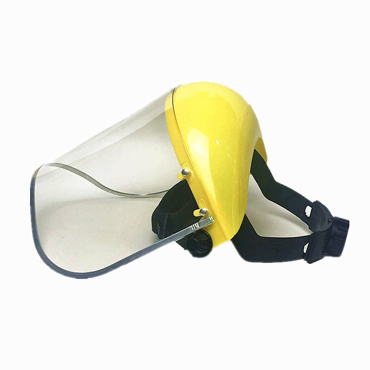 face shield