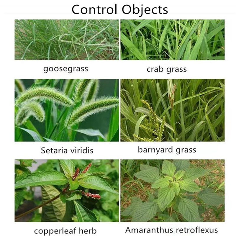 mesotrione weed killer