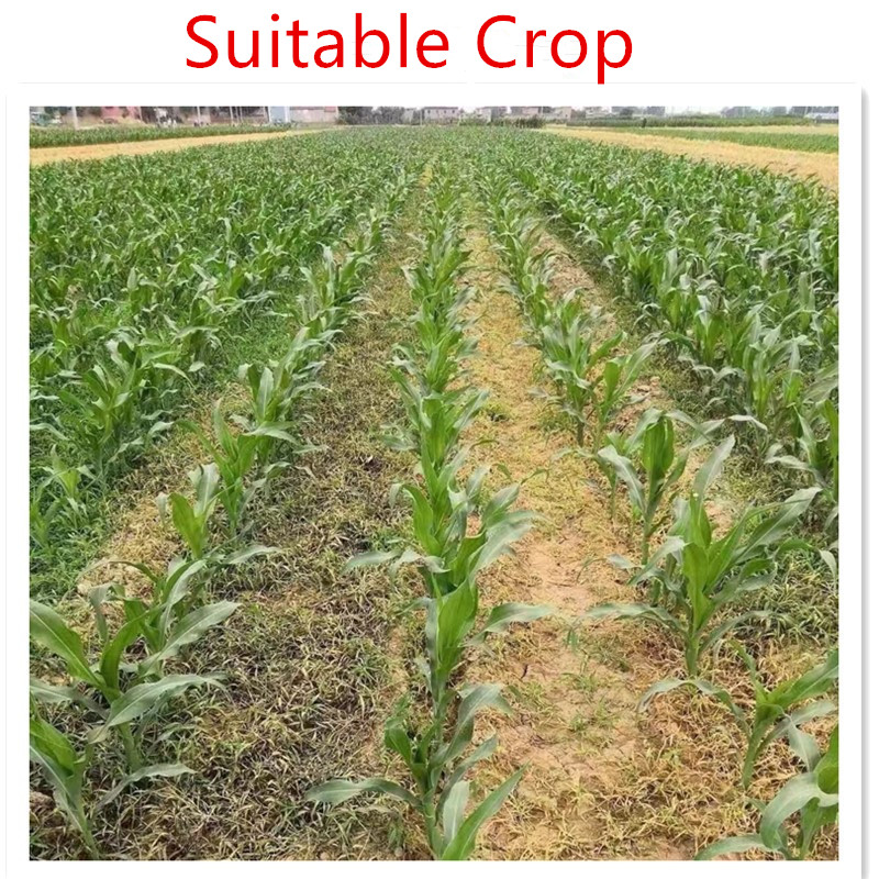 generic mesotrione herbicide