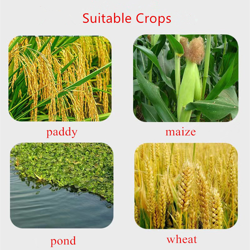 mesotrione herbicide