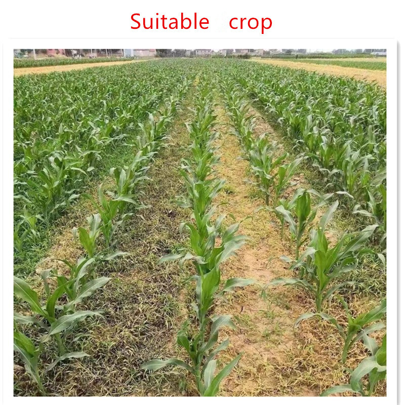 mesotrione weed killer