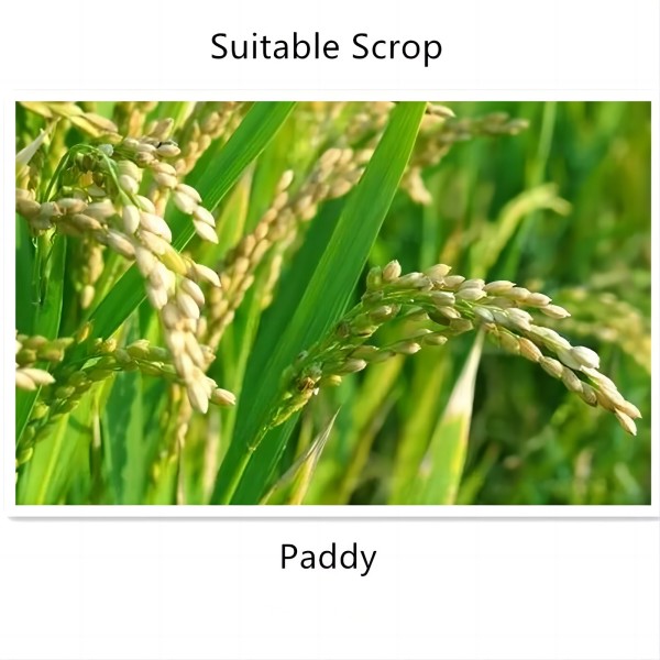 chlorpyrifos methyl insecticide