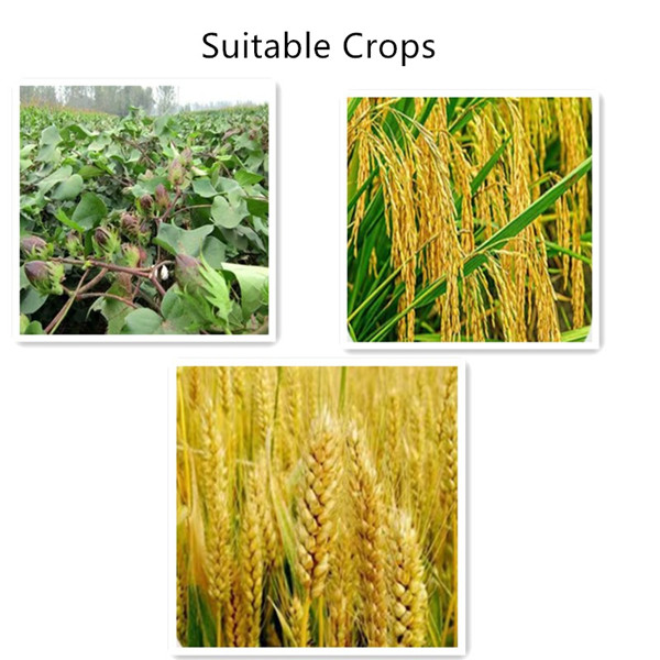 imidacloprid insecticide for plants