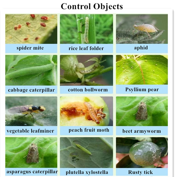 insecticide imidacloprid