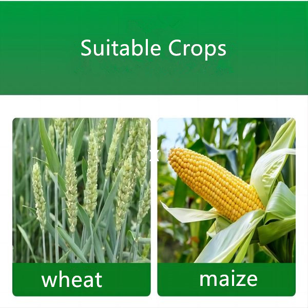 agriculture pesticide azoxystrobin fungicide