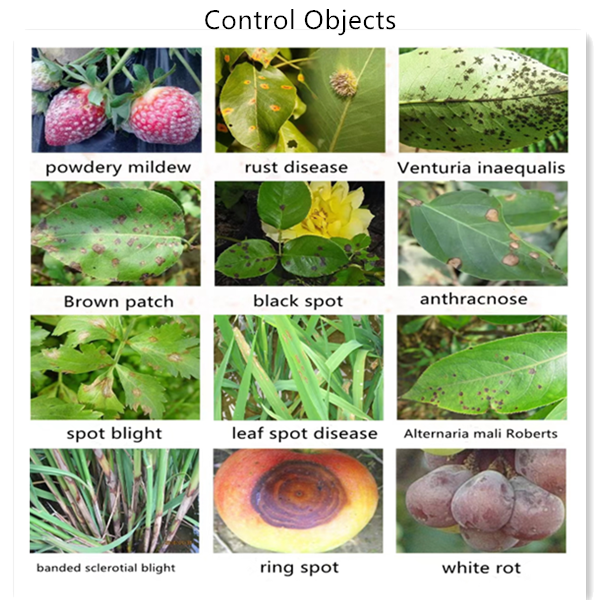 flutriafol fungicide