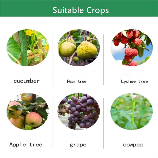 carbendazim fungicida agrícola
