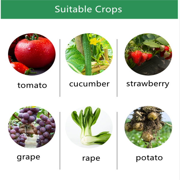 Boscalid fungicide