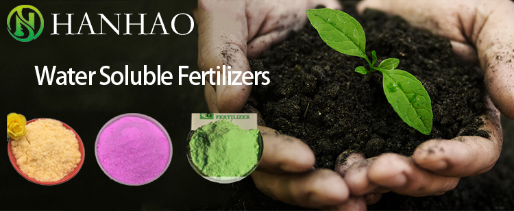NPK water-soluble fertilizer