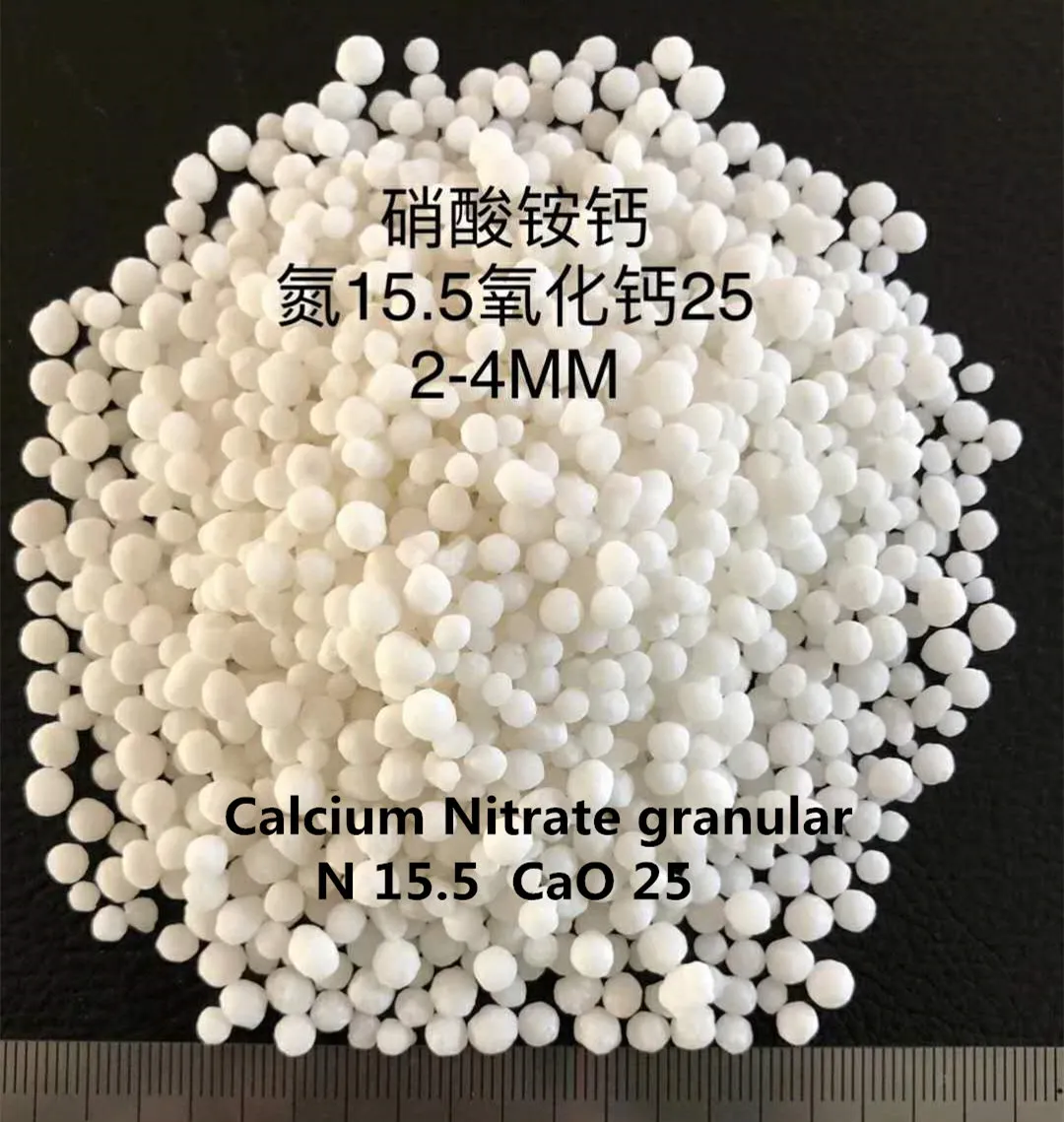 HOW DOES NITROGEN HELP PLANTS GROW?