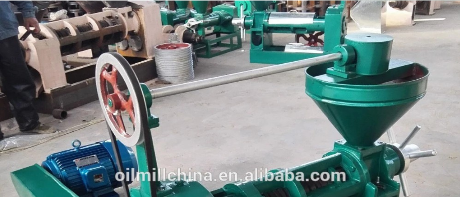 Cold Oil Press Machine