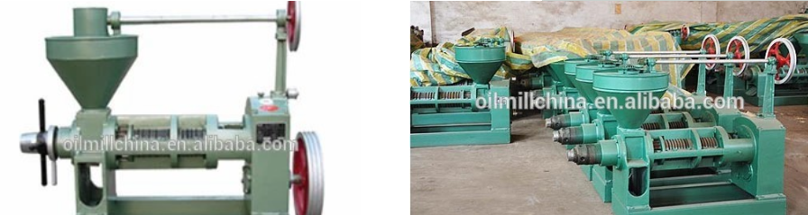 Automatic Cold Oil Press Machine