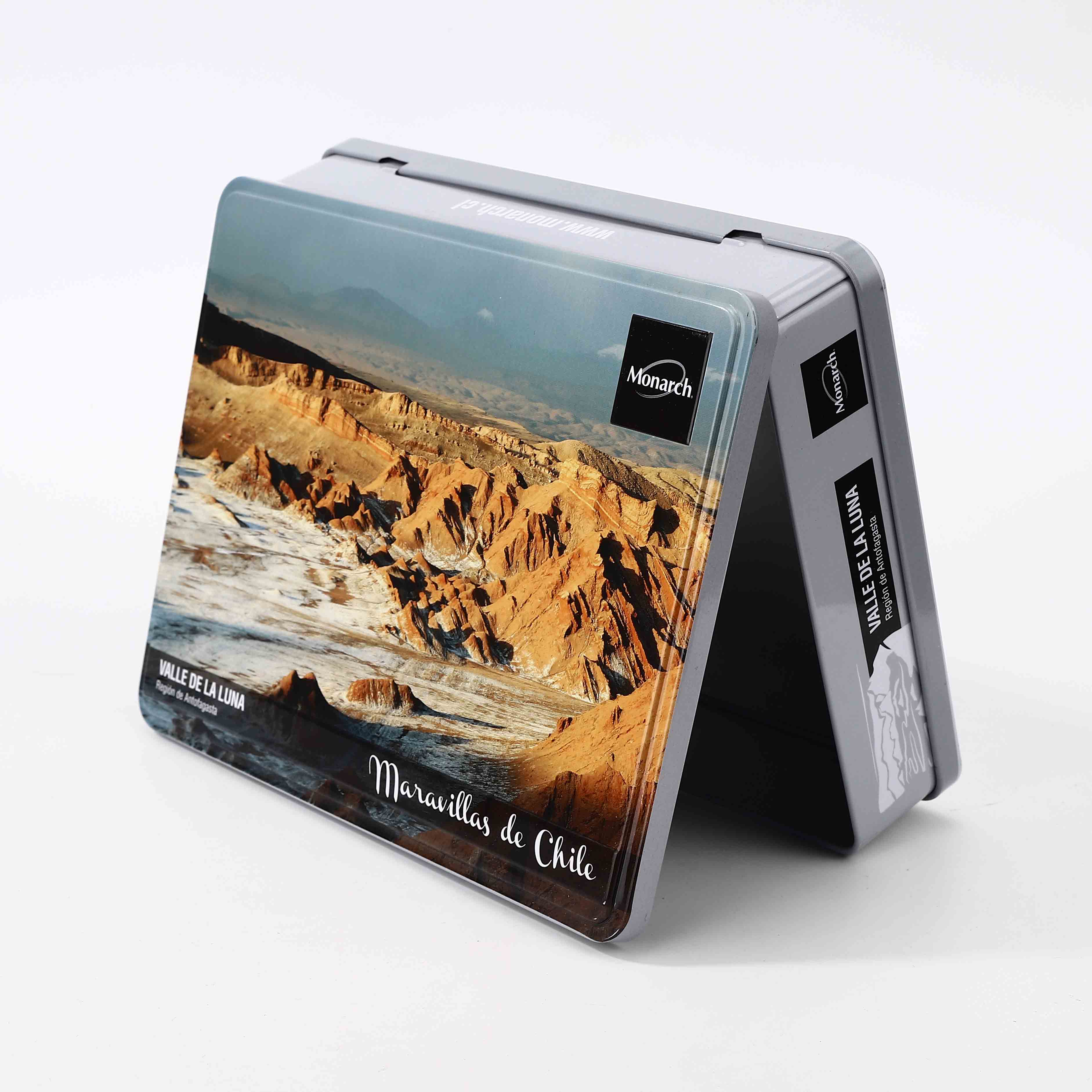 RECTANGLE HINGE LID TIN BOX