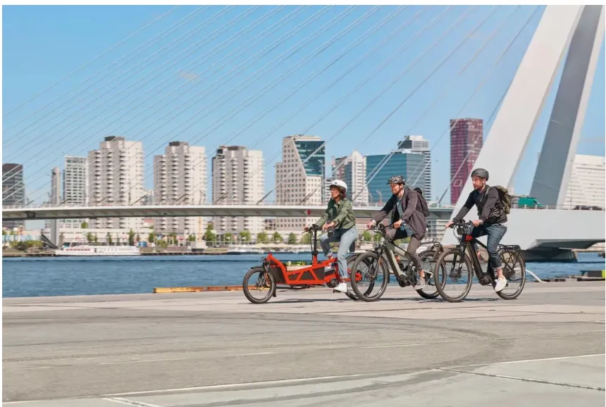 Read More About adult mountain bike