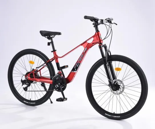 Read More About kids' mountain bike