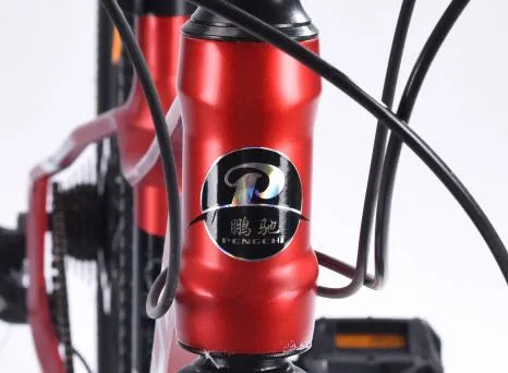 Read More About good quality mountain bike