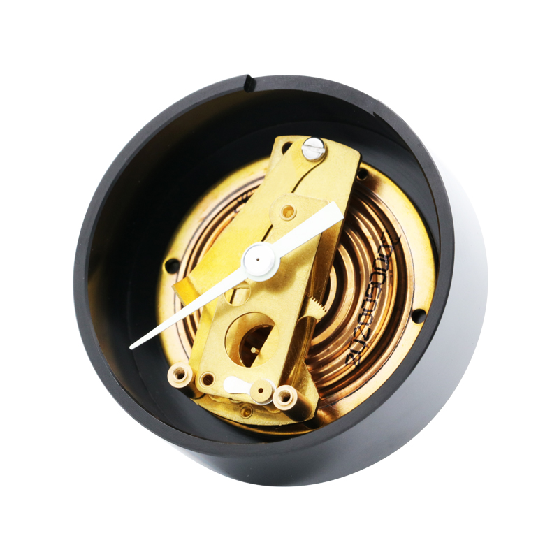 Diaphragm Capsule Pressure Gauge -Medical Type (Night Vision)