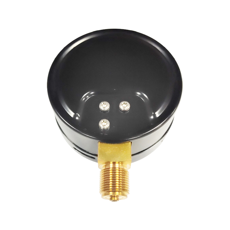 Diaphragm Capsule Pressure Gauge(DCPG)-WIKA carbon steel case, copper connection type