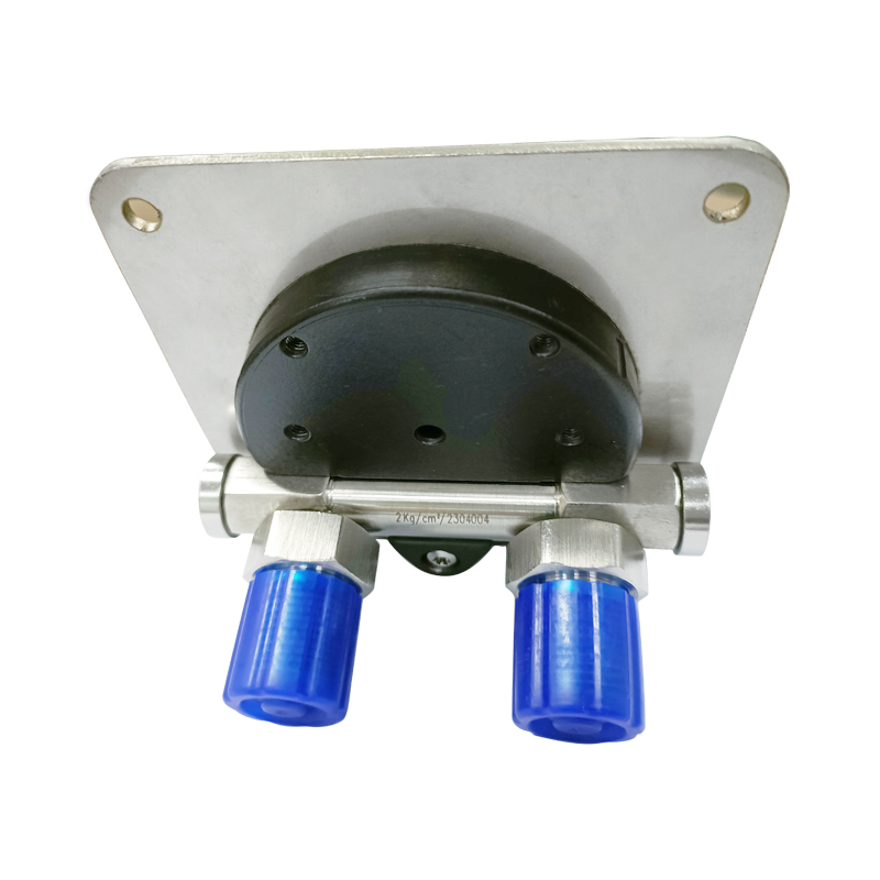 Differential Pressure Gauge-Magnetic piston francois type