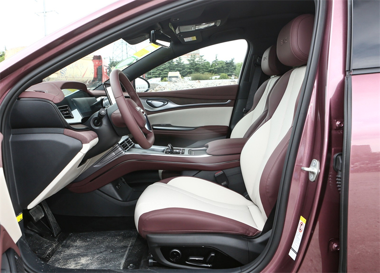 electric vehicle