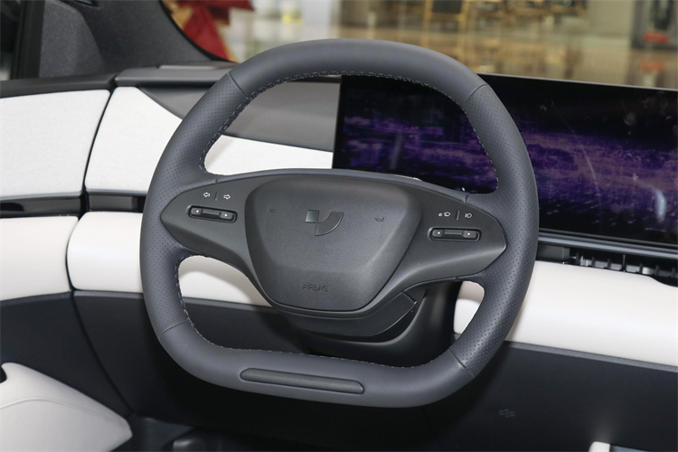 electric vehicle