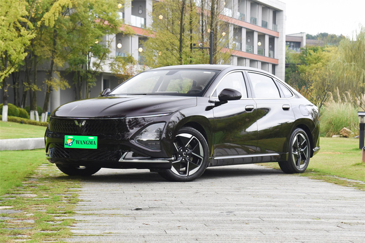 electric vehicle