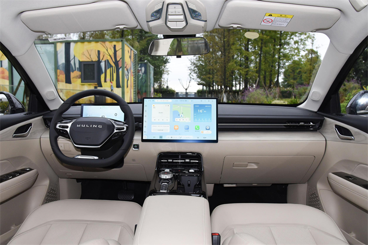 electric vehicle