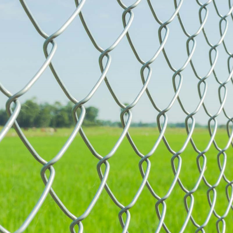 Metal mesh fence provides a sturdier and more stable fencing option.