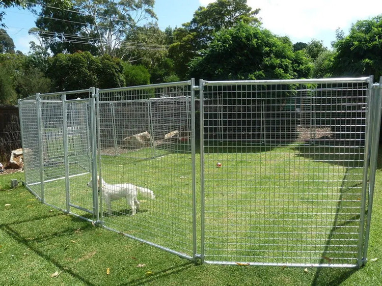 Temporary Fence for Quarantine-Animal-pet