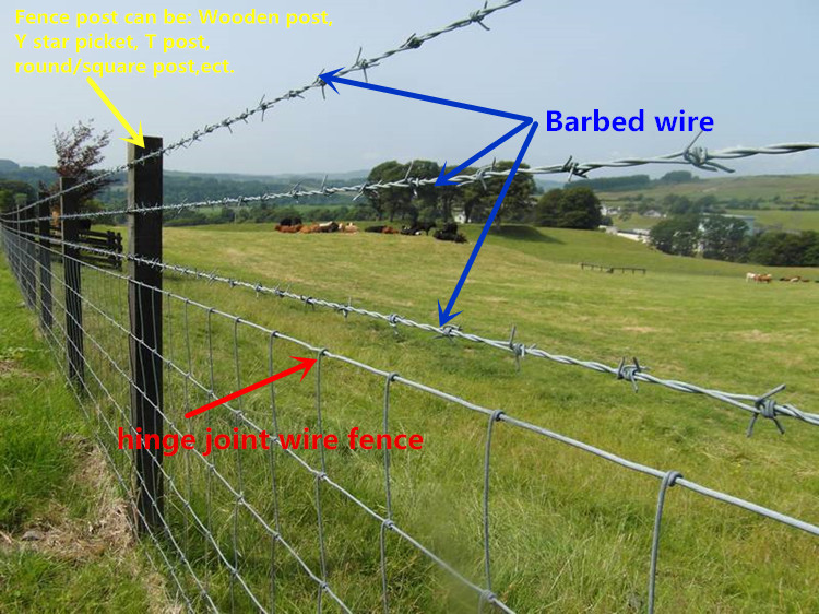 farm field fence with-barbed-wire-on fence 