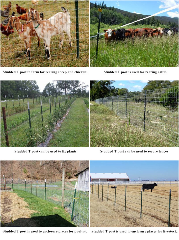 T fence post application